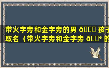 带火字旁和金字旁的男 🐞 孩子取名（带火字旁和金字旁 💮 的男孩子取名有哪些）